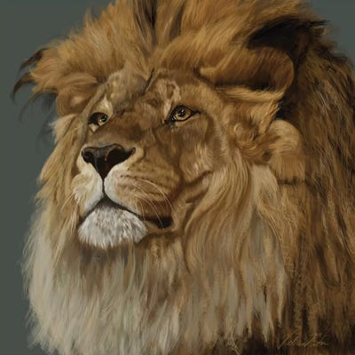 Lion by Vicki Newton canvas print