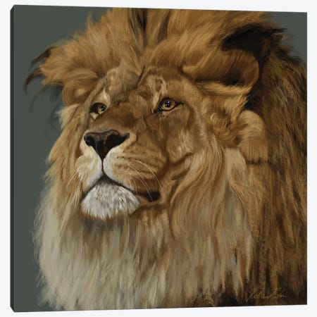 Lion Canvas Print #VNE101} by Vicki Newton Art Print