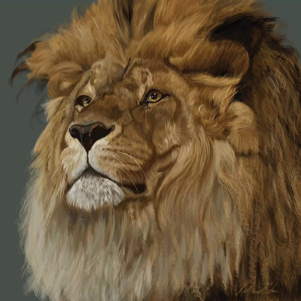 Vicki Newton: Lion by Vicki Newton