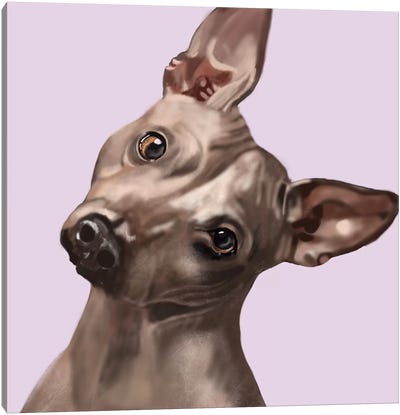 American Hairless Terrier Canvas Art Print