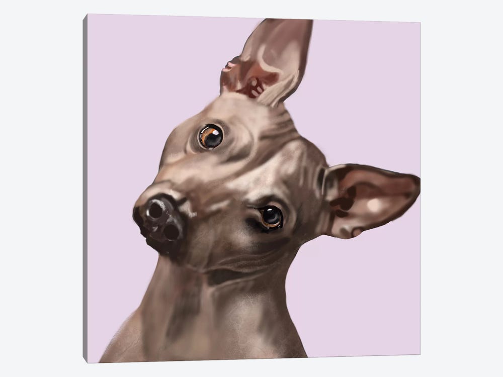 American Hairless Terrier by Vicki Newton 1-piece Canvas Wall Art