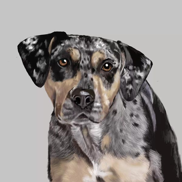 Vicki Newton: American Leopard Hound by Vicki Newton