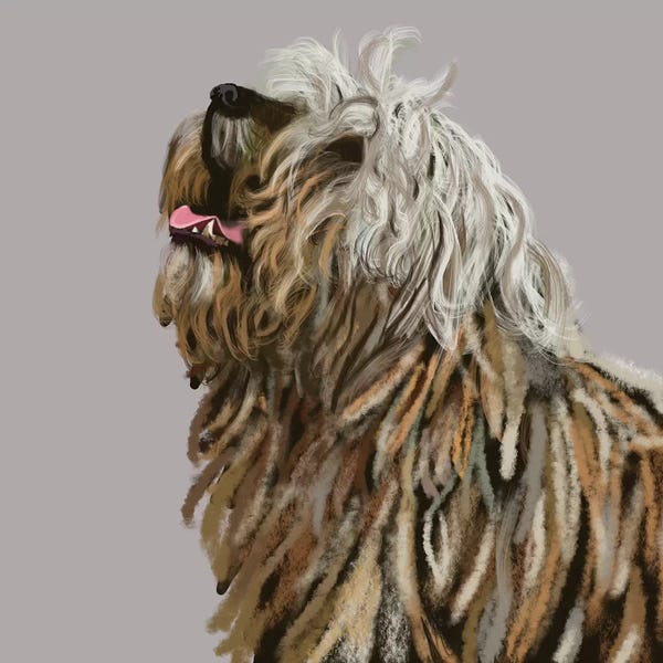 Vicki Newton: Berger De Bergame by Vicki Newton