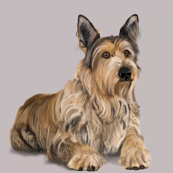 Vicki Newton: Berger Picard by Vicki Newton