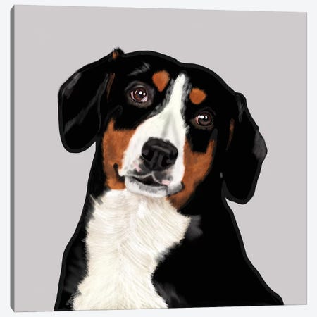 Entelbucher Mountain Dog Canvas Print #VNE109} by Vicki Newton Canvas Art Print