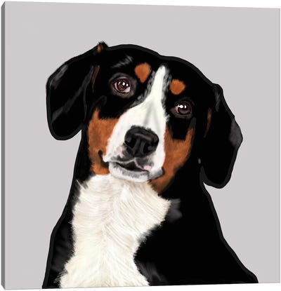 Entelbucher Mountain Dog Canvas Art Print - Vicki Newton