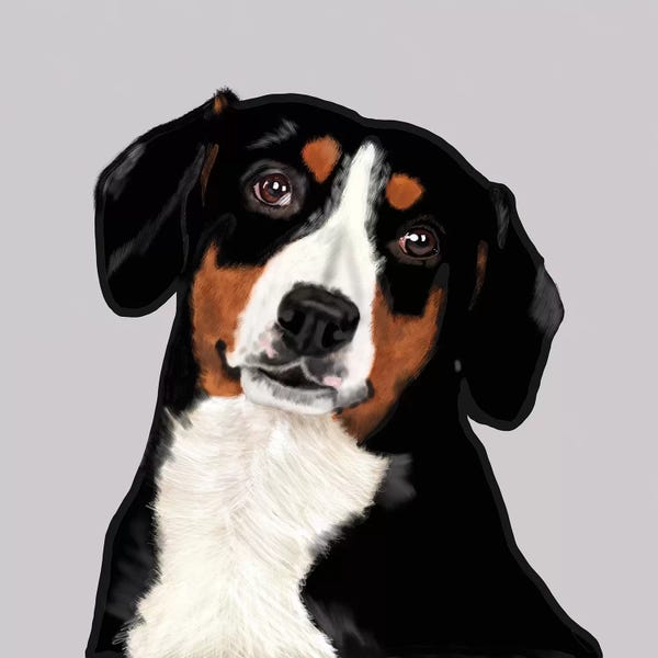 Vicki Newton: Entelbucher Mountain Dog by Vicki Newton