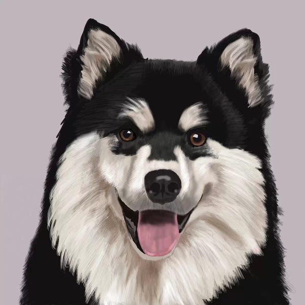 Vicki Newton: Finnish Lapphund by Vicki Newton