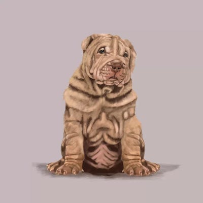 Shar Pei by Vicki Newton acrylic art print