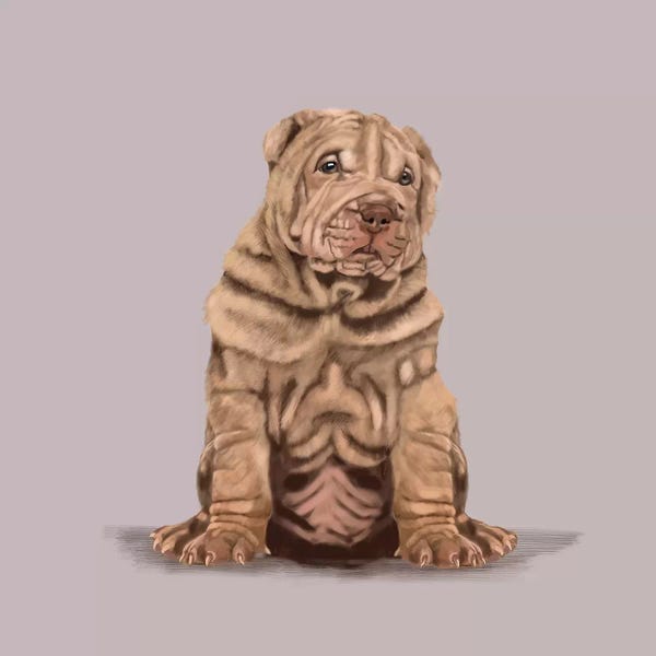 Vicki Newton: Shar Pei by Vicki Newton
