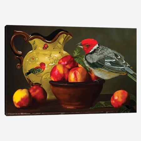 Still Life With Yellow Bill Cardinal Canvas Print #VNE112} by Vicki Newton Canvas Wall Art