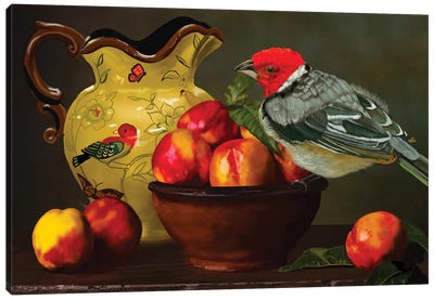 Still Life With Yellow Bill Cardinal Canvas Art Print - Vicki Newton