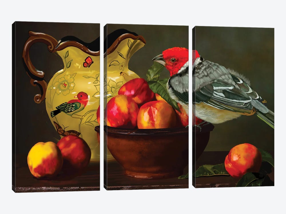 Still Life With Yellow Bill Cardinal by Vicki Newton 3-piece Canvas Art Print