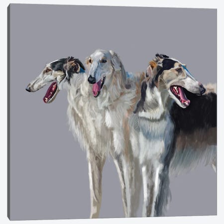 Russian Wolfhound Trio Canvas Print #VNE117} by Vicki Newton Canvas Art Print