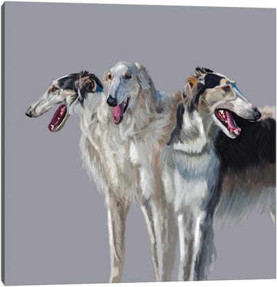 Russian Wolfhound Trio Canvas Art Print - Vicki Newton