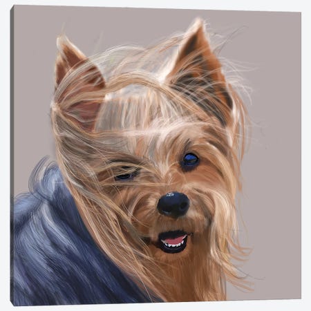 Yorkshire Terrier - Bad Hair Day Canvas Print #VNE119} by Vicki Newton Canvas Art