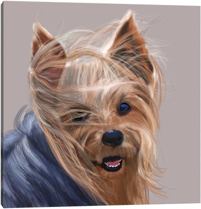 Yorkshire Terrier - Bad Hair Day Canvas Art Print - Vicki Newton