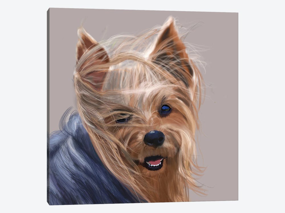 Yorkshire Terrier - Bad Hair Day by Vicki Newton 1-piece Canvas Wall Art