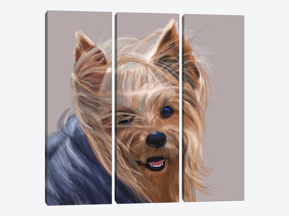 Yorkshire Terrier - Bad Hair Day by Vicki Newton 3-piece Canvas Artwork