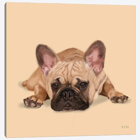 French Bulldog - Living The Life Canvas Print #VNE121} by Vicki Newton Art Print