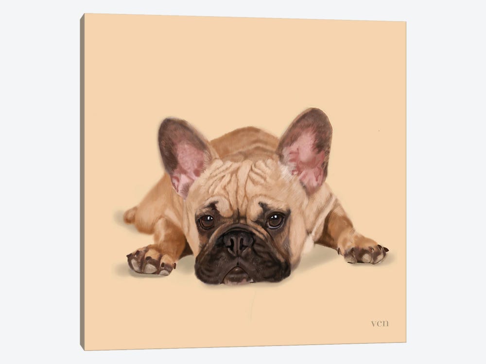 French Bulldog - Living The Life by Vicki Newton 1-piece Canvas Art Print