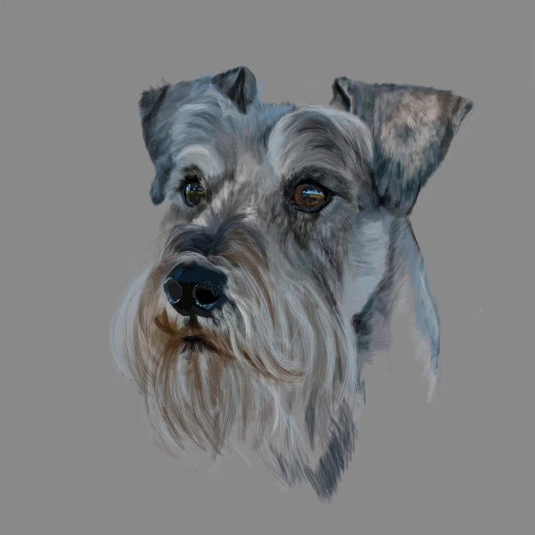 Schnauzer Of Royal Descent by Vicki Newton wall art
