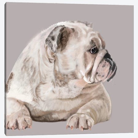 Bulldog In Profile Canvas Print #VNE126} by Vicki Newton Canvas Wall Art