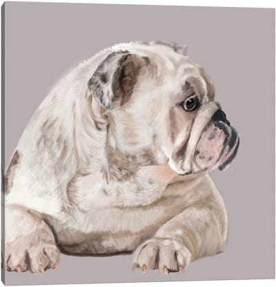Bulldog In Profile Canvas Art Print - Vicki Newton