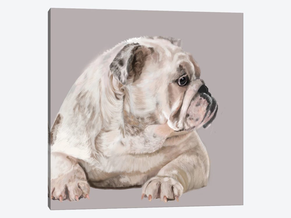 Bulldog In Profile by Vicki Newton 1-piece Canvas Art