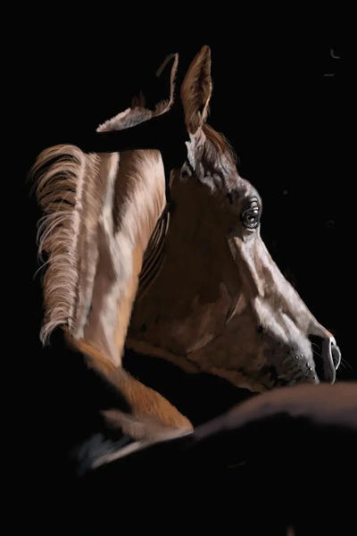 Vicki Newton: Light And Shadow by Vicki Newton