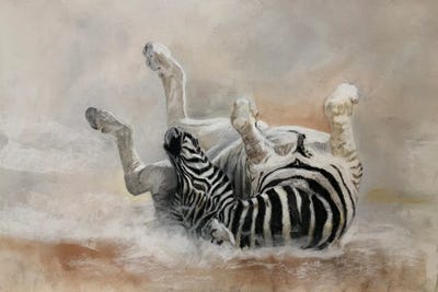 Zebra Dust Bath by Vicki Newton canvas print