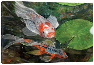 Koi Pond Canvas Art Print - Vicki Newton