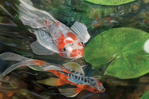 Water Lilies: Koi Pond by Vicki Newton