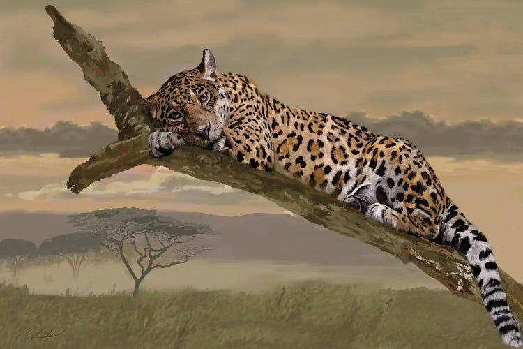 Leopard At End Of Day