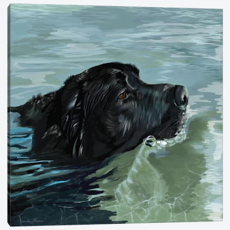 Black Lab Swimming Canvas Print #VNE13} by Vicki Newton Canvas Art