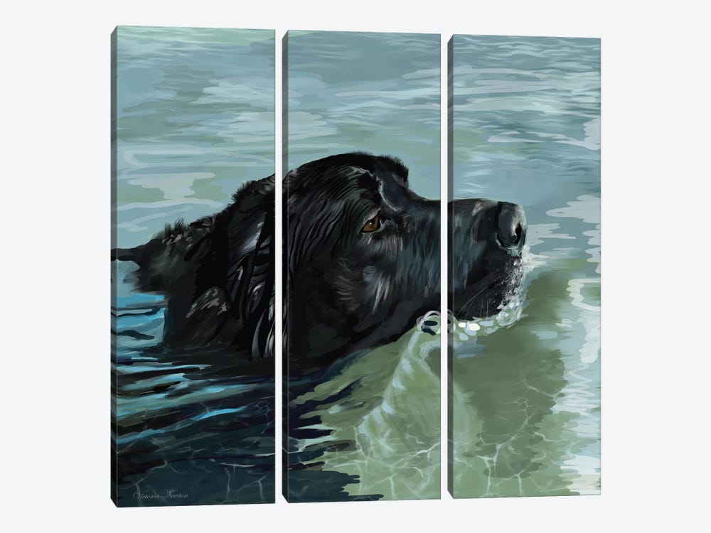 Black Lab Swimming by Vicki Newton 3-piece Canvas Wall Art