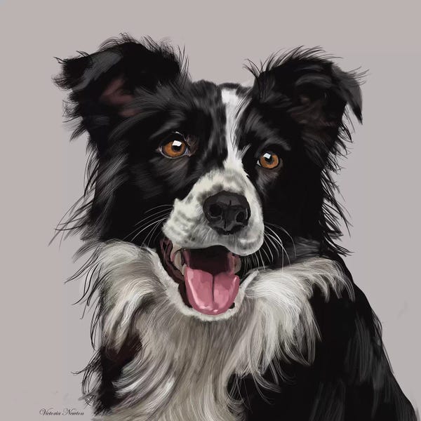 Vicki Newton: Border Collie by Vicki Newton