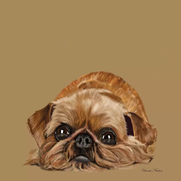 Vicki Newton: Brussels Griffon by Vicki Newton