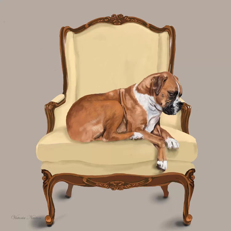 Boxer On Chair