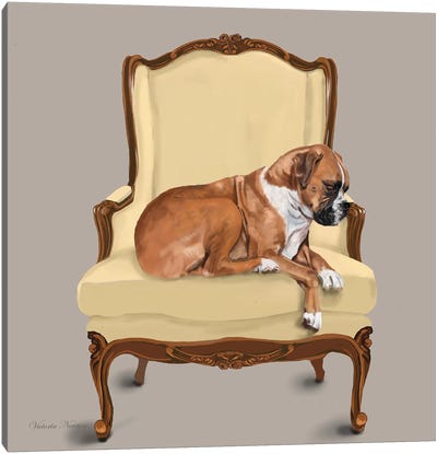 Boxer On Chair Canvas Art Print - Vicki Newton