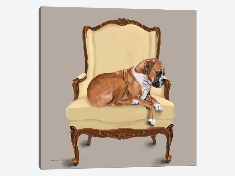 Boxer On Chair by Vicki Newton 1-piece Canvas Wall Art