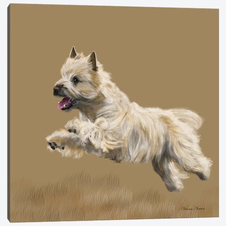 Cairn Terrier Canvas Print #VNE21} by Vicki Newton Canvas Print