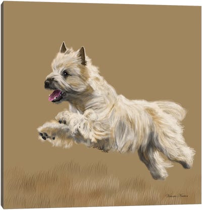 Cairn Terrier Canvas Art Print - Vicki Newton
