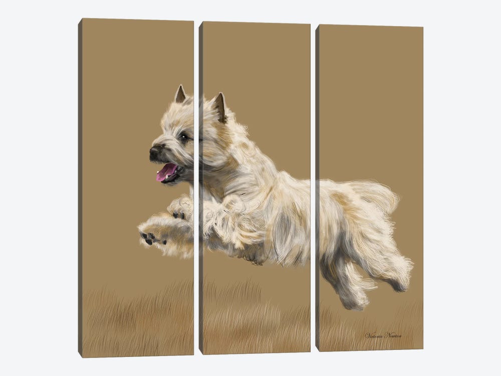 Cairn Terrier 3-piece Canvas Print