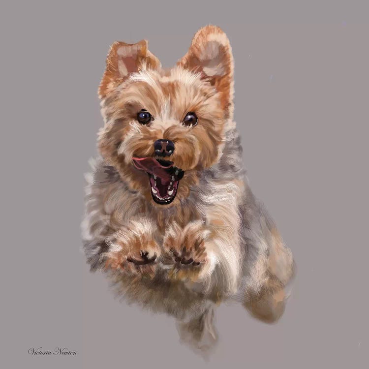 Cairn On The Run by Vicki Newton wall art