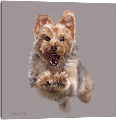 Cairn On The Run Canvas Art Print - Terriers
