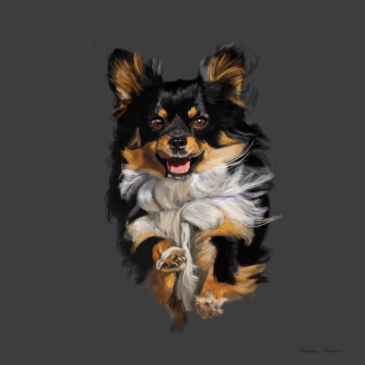 Chihuahua On The Run by Vicki Newton wall art