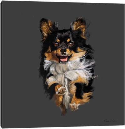 Chihuahua On The Run Canvas Art Print - Vicki Newton