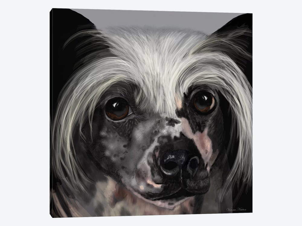 Chinese Crested by Vicki Newton 1-piece Art Print
