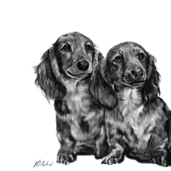 Vicki Newton: Dachshund Pair In Black & White by Vicki Newton